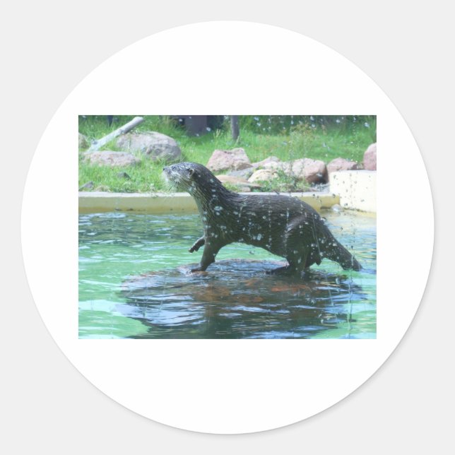 Otter Runder Aufkleber (Vorderseite)