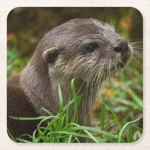 Otter Spritzer Rechteckiger Pappuntersetzer