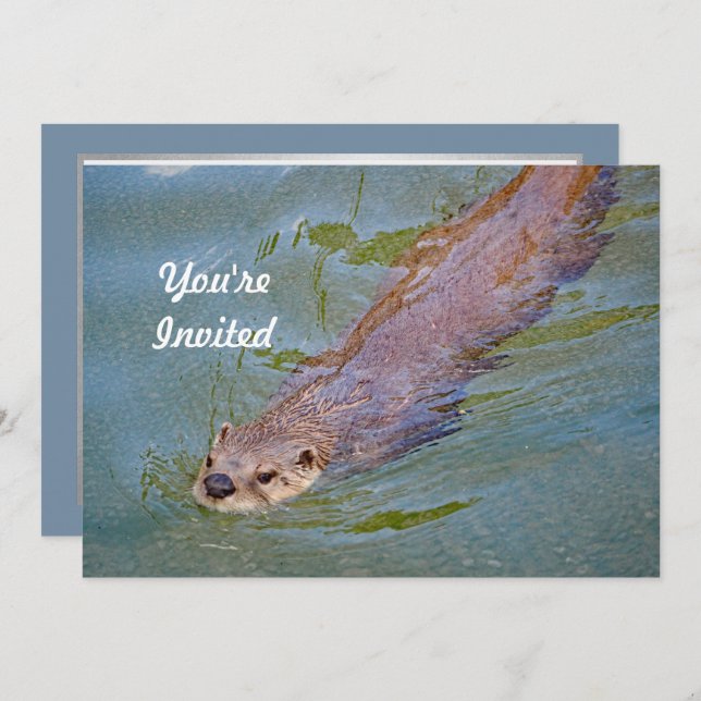 Otter Swimming Wildlife Foto Geburtstag Einladung (Vorne/Hinten)