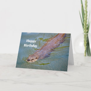 Otter Swimming Wildlife Foto Geburtstag Karte
