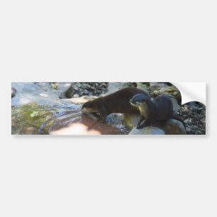 Otter trinken, Aufkleber Autoaufkleber