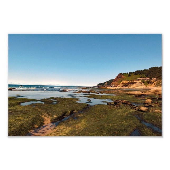 Otter Wappen Beach Oregon Fotodruck (Vorne)