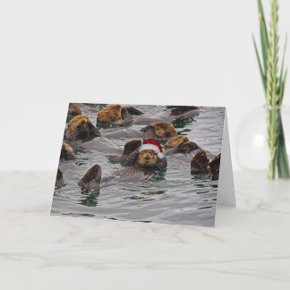Otter Weihnachtskarte Feiertagskarte