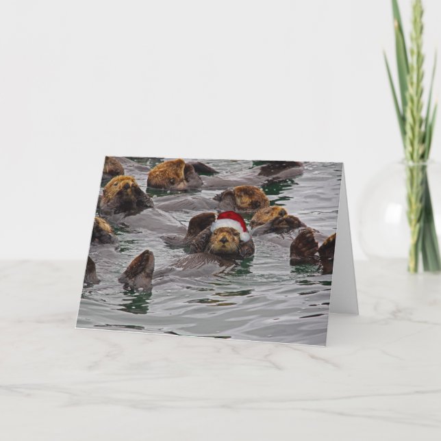 Otter Weihnachtskarte Feiertagskarte (Vorderseite)