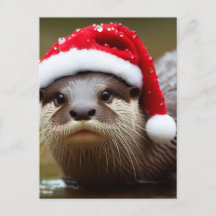 Otter Weihnachtsmannmütze Adorable