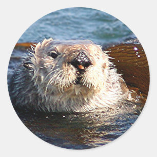 Otteraufkleber Runder Aufkleber