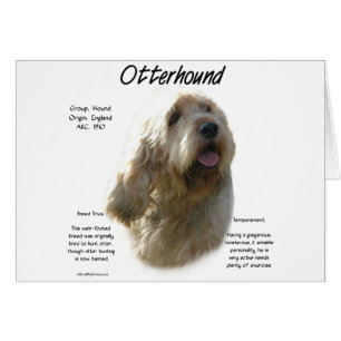 Otterhound History Design
