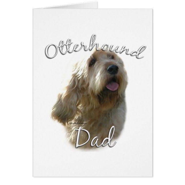 Otterhound Vater 2 (Vorne)