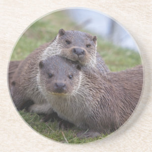 Otterly in Love Achterbahn Getränkeuntersetzer