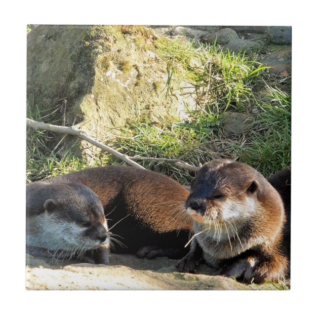 OTTERN FLIESE (Vorderseite)