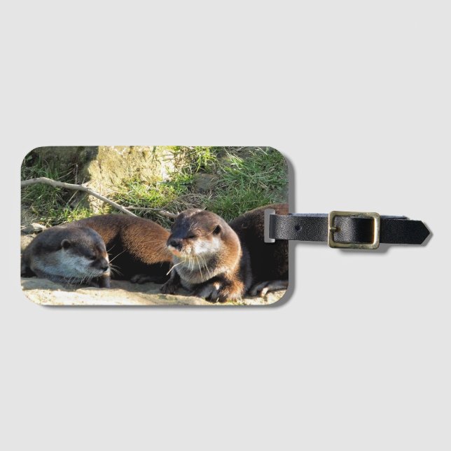OTTERN GEPÄCKANHÄNGER (Vorderseite (Horizontal))