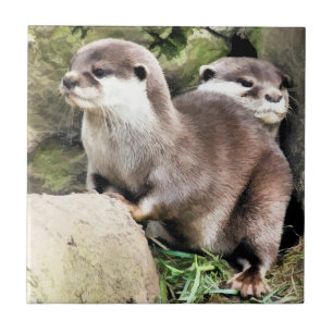 OTTERS FLIESE