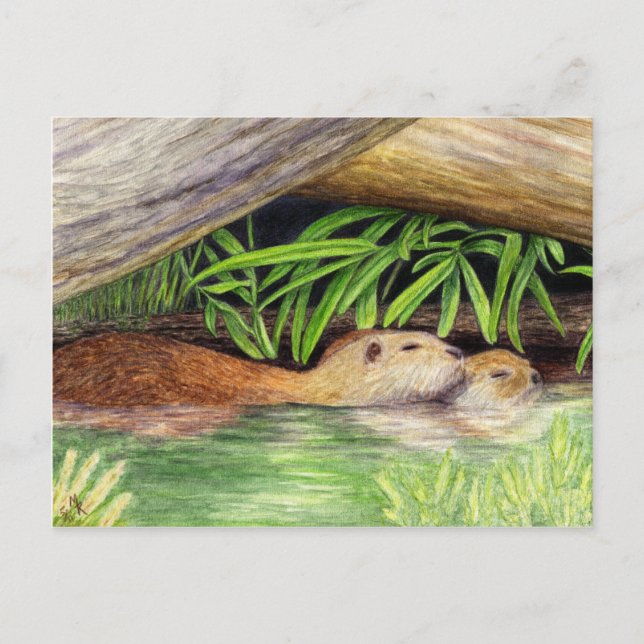 Otters Floating Wildlife Art Postkarte (Vorderseite)