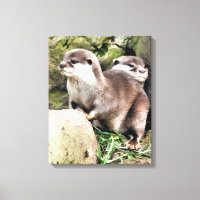 OTTERS