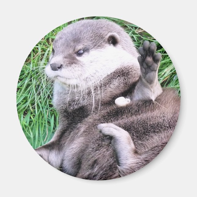 OTTERS MAGNET (Vorne)