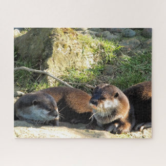 OTTERS PUZZLE