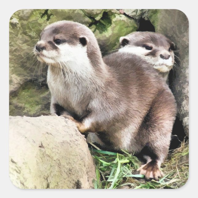 OTTERS QUADRATISCHER AUFKLEBER (Vorderseite)