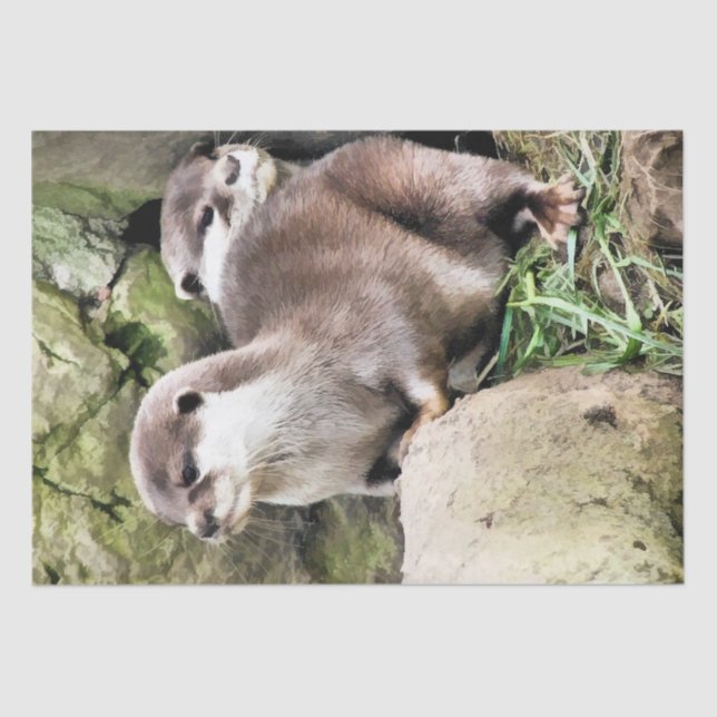 OTTERS SEIDENPAPIER (Vorderseite)