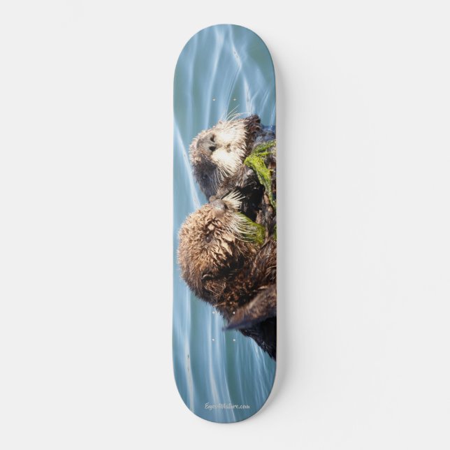 Otterwelpe und -mutter mit Kelp Skateboard (Vorderseite)