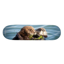 Otterwelpe und -mutter mit Kelp Skateboard