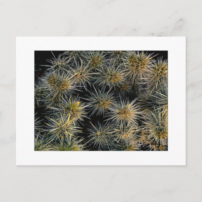 "Ouch Cluster" Postkarte (Vorderseite)