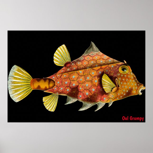 Oul Grumpy Poster (Vorne)