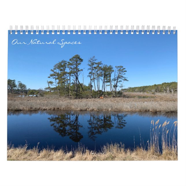 Our Natural Spaces: dreamflower 2026 calendar Kalender (Titelbild)