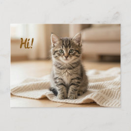 Our New Kitten Photo Announcement Postkarte