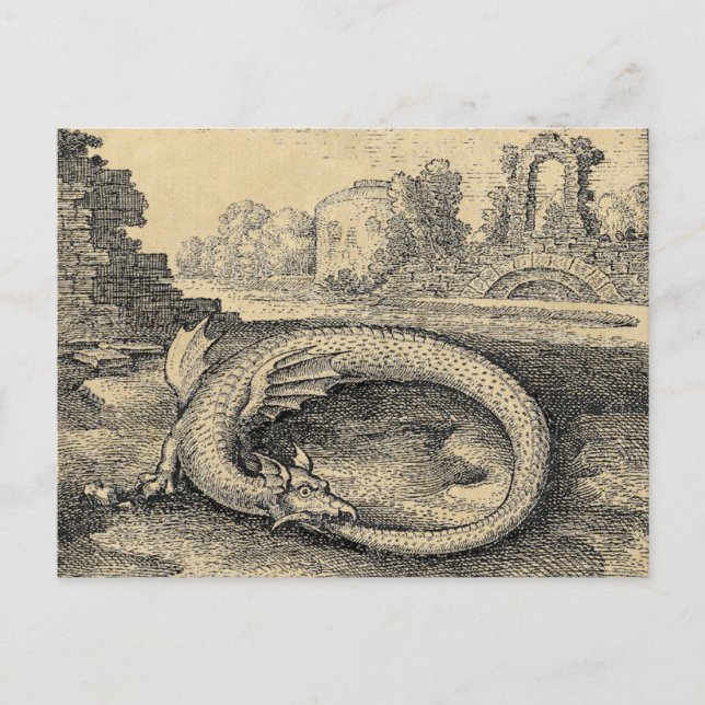 Ouroboros Drache Bitten ist eigener Schwanz Postkarte (Vorderseite)