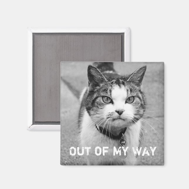 "Out My Way" Crabby Cat Magnet (Vorderseite/Rückseite)