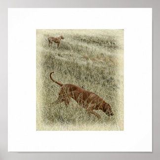 OutAfrica4, Outof AfricaPastel Poster