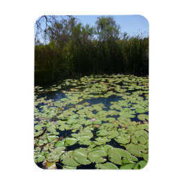 Outback Lily Pads Flexibles Foto Image Magnet