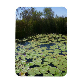 Outback Lily Pads Flexibles Foto Image Magnet