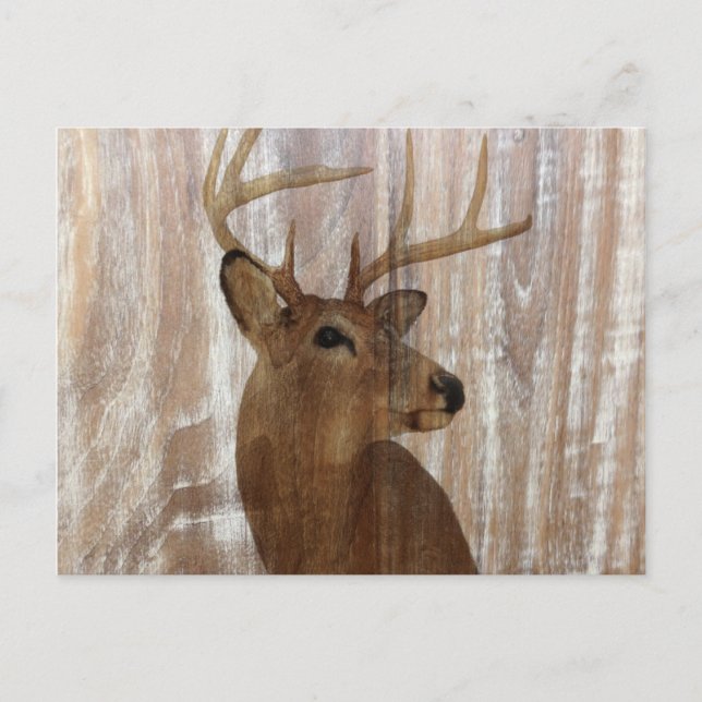 Outdoorsman-Western Primitive Scheunenbaum Postkarte (Vorderseite)