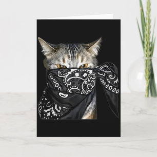 Outlaw-Katze Lustige Gangster-Katze Mit Bandana Karte