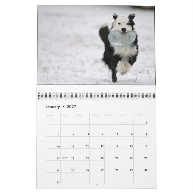 Ouzo 2010 Kalender (Jan 2027)