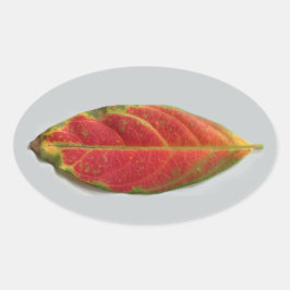 Ovale Aufkleber mit hübschem rotem Leaf, Aufkleber