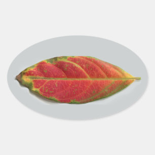 Ovale Aufkleber mit hübschem rotem Leaf, Aufkleber