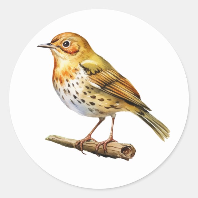 Oven Bird Stickers (Vorderseite)