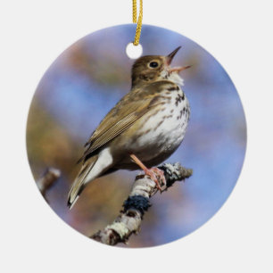 Ovenbird Keramik Ornament
