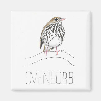 Ovenborb (Ovenbird) Magnet