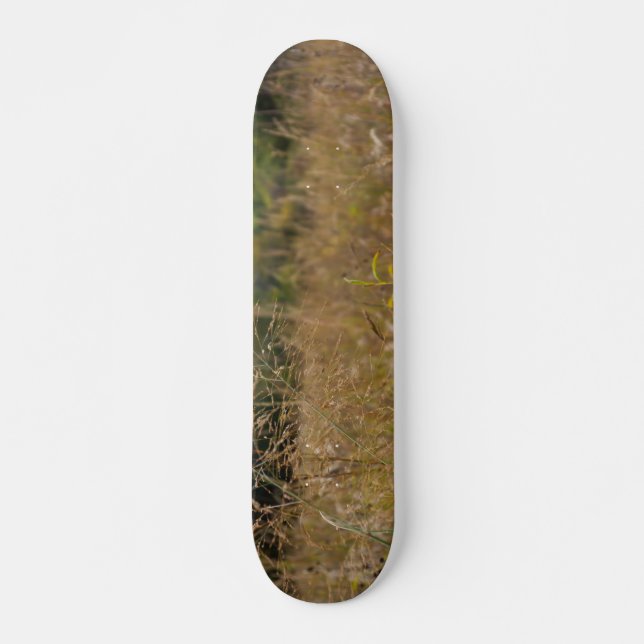 Overared Prairie Skateboard (Vorne)