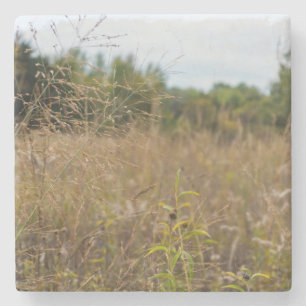Overared Prairie Steinuntersetzer