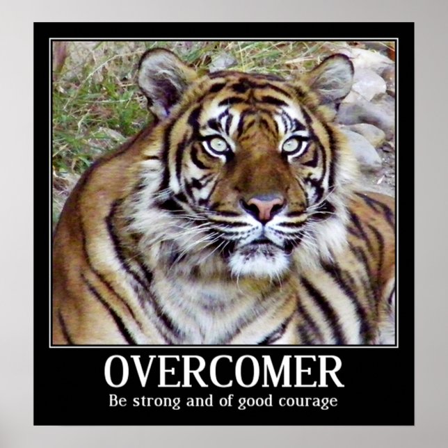 Overcomer_ Poster (Vorne)