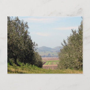 Overlooking San Juan Valley Postkarte