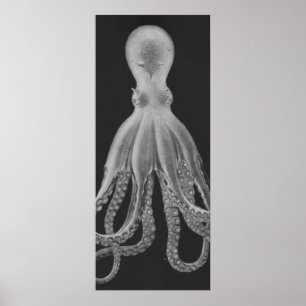 Oversifizierter Octopus Triptych II Print in Grau Poster