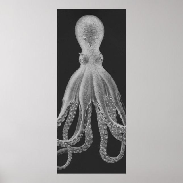 Oversifizierter Octopus Triptych II Print in Grau Poster (Vorne)