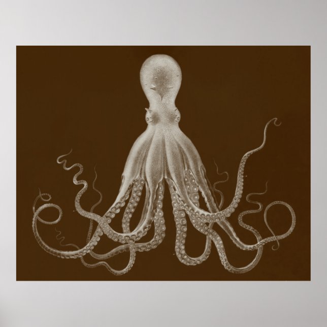 Oversifizierter Octopus Triptychdruck in braun Poster (Vorne)