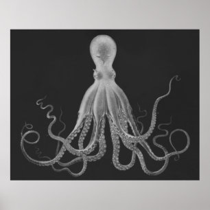 Oversifizierter Octopus Triptychdruck in Grau Poster
