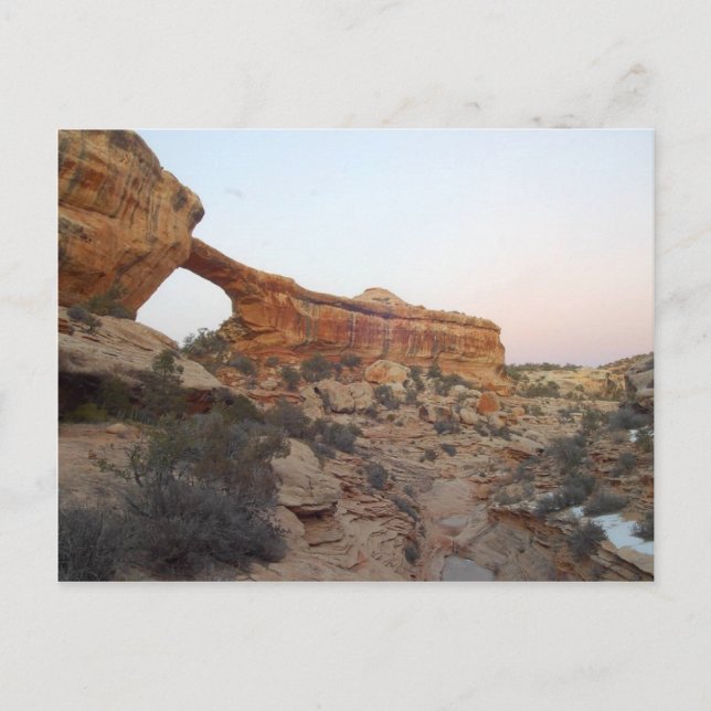 Owachomo Brücke über die Naturbrücken Postkarte (Vorderseite)